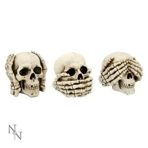 image of See No Hear No Speak No Evil Skulls