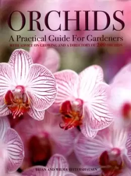Image of Orchids by Brian Rittershausen