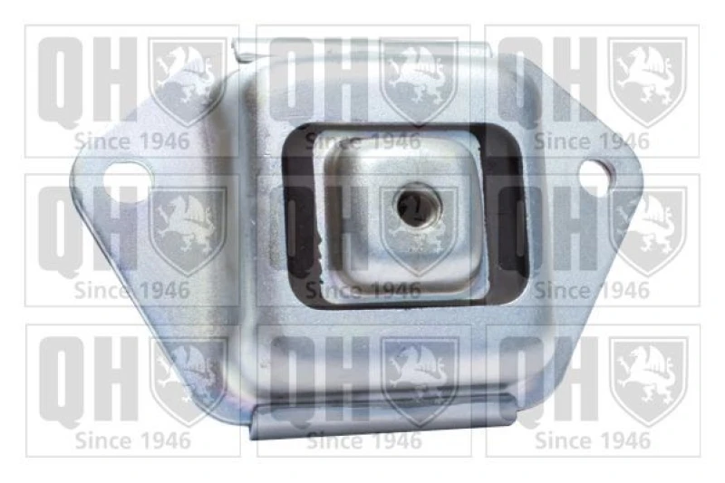 Image of QUINTON HAZELL Trailing arm / Suspension arm bush QUINTON HAZELL EMS8506