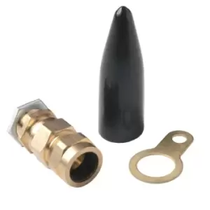 Image of Wiska Outdoor M20 CW Economy Non-LSF cable glands For SWA IP66 Brass - CW20S
