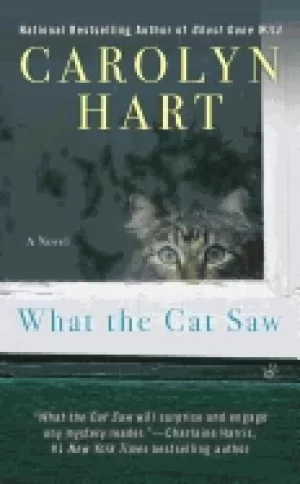 Image of what the cat saw nela farley 001