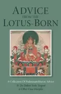 Image of advice from the lotus born a collection of padmasambhavas advice to the dak