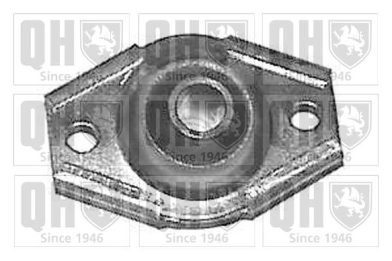 Image of QUINTON HAZELL Trailing arm / Suspension arm bush QUINTON HAZELL EMS2030
