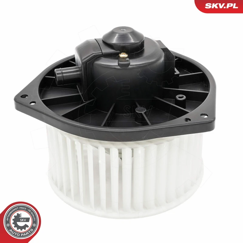 Image of ESEN SKV Blower motor ESEN SKV 68SKV206