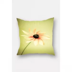 Image of YS346430354 Multicolor Cushion Cover