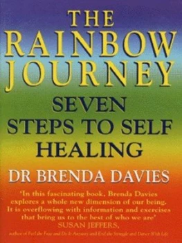 Image of The Rainbow Journey by Brenda Davies Paperback