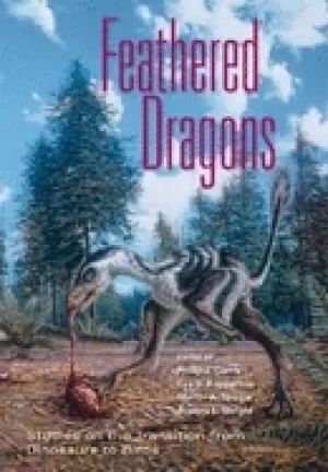 Image of feathered dragons studies on the transition from dinosaurs to birds