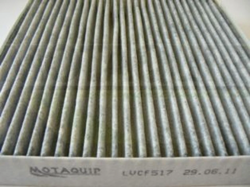 Image of MOTAQUIP Pollen filter MOTAQUIP LVCF517