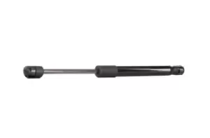 Image of RIDEX Tailgate strut MERCEDES-BENZ 219G0039 1717500036,A1717500036