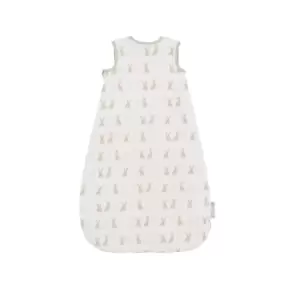 image of Ickle Bubba Bunnychino 0-6M Sleep Bag