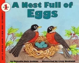 Image of nest full of eggs
