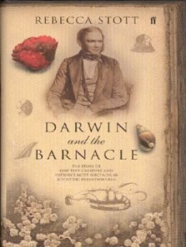 Image of Darwin and the Barnacle by Rebecca Stott Hardback