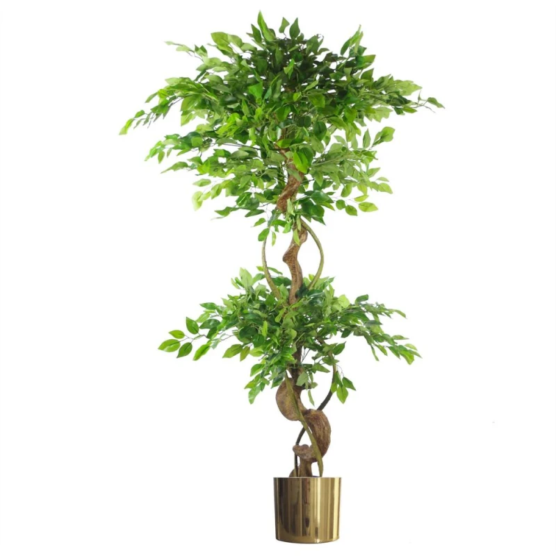 Image of Unbranded 150cm Twisted Trunk Artificial Japanese Ficus Tree & Gold Planter - Premium Quality