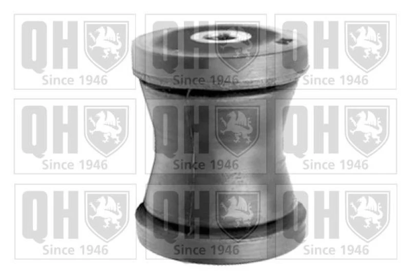 Image of QUINTON HAZELL Trailing arm / Suspension arm bush QUINTON HAZELL EMS8298