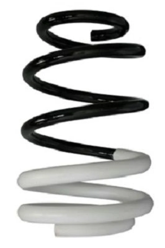 Image of Coil spring SPIDAN 88009