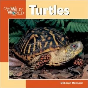 Image of Turtles by Deborah Dennard Book