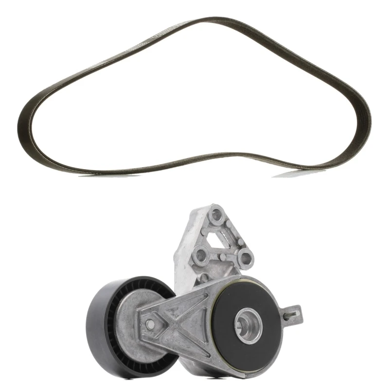 Image of RIDEX PLUS 542R0664P V-ribbed belt set V-Ribbed Belt Set (542)