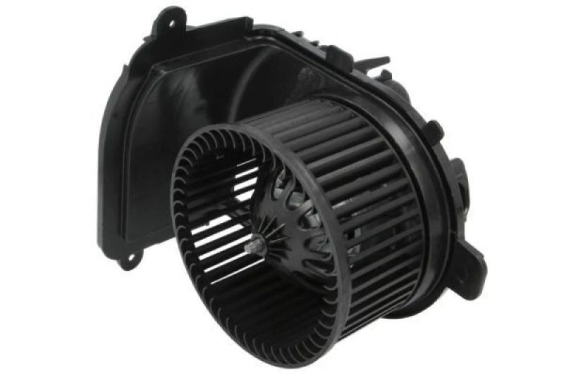 Image of THERMOTEC Blower motor THERMOTEC DDR026TT
