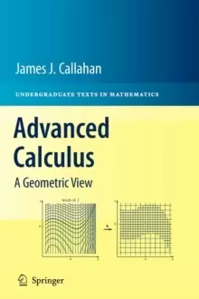Image of Advanced Calculus : A Geometric View