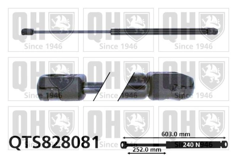 Image of QUINTON HAZELL Tailgate strut QUINTON HAZELL QTS828081