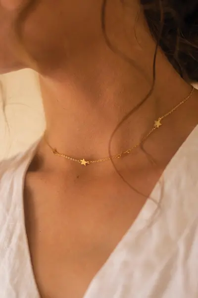 Image of Elk & Bloom Sterling Silver Star Choker Silver