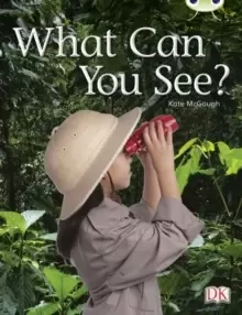 Image of Bug Club Guided Non Fiction Reception Red A What Can You See?
