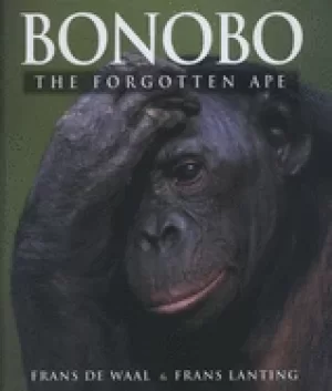 Image of bonobo the forgotten ape