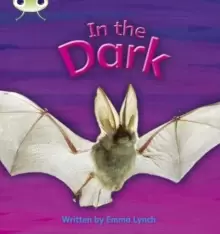 Image of Bug Club Phonics Non Fiction Reception Phase 3 Set 10 In the Dark