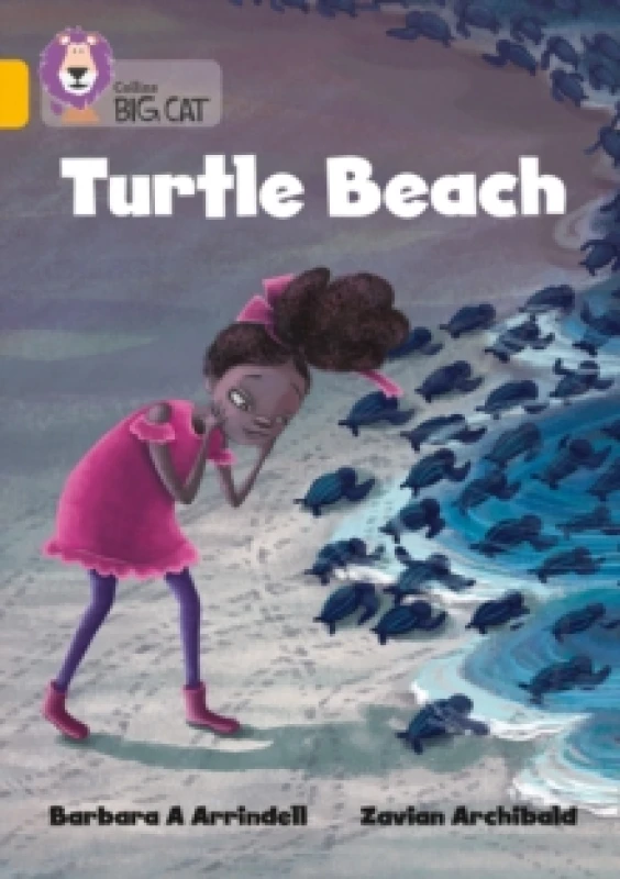 Image of Turtle Beach : Band 09/Gold Paperback / softback