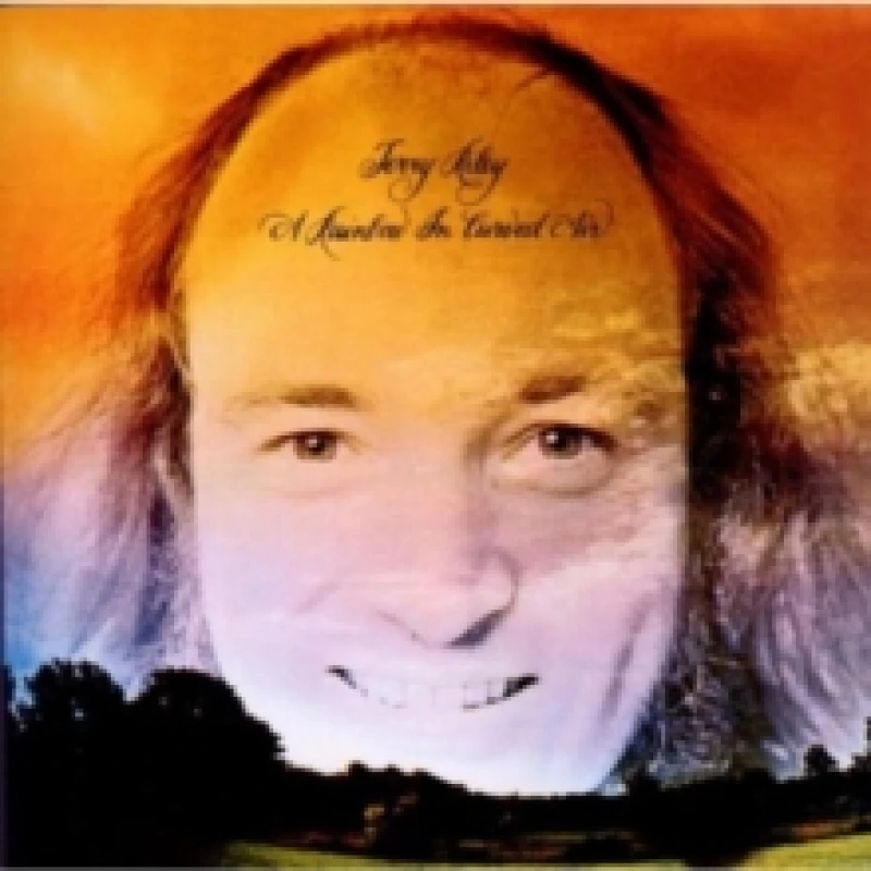 Image of A Rainbow in Curved Air CD / Album