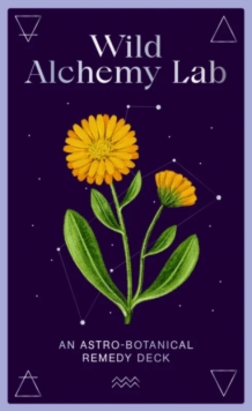 Image of Wild Alchemy Lab. Cards. By Jemma Foster Books