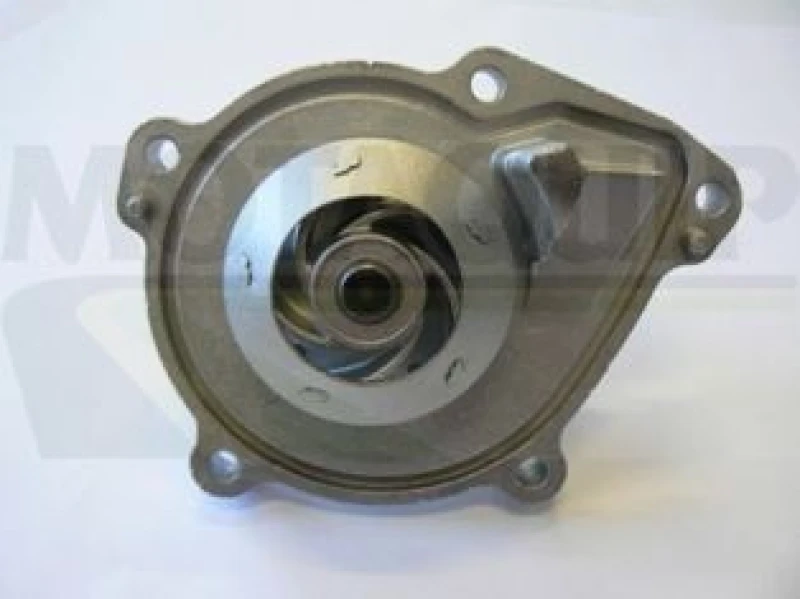 Image of MOTAQUIP Water pump MOTAQUIP VWP923