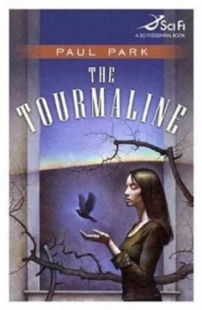 Image of The Tourmaline by Paul Park Paperback