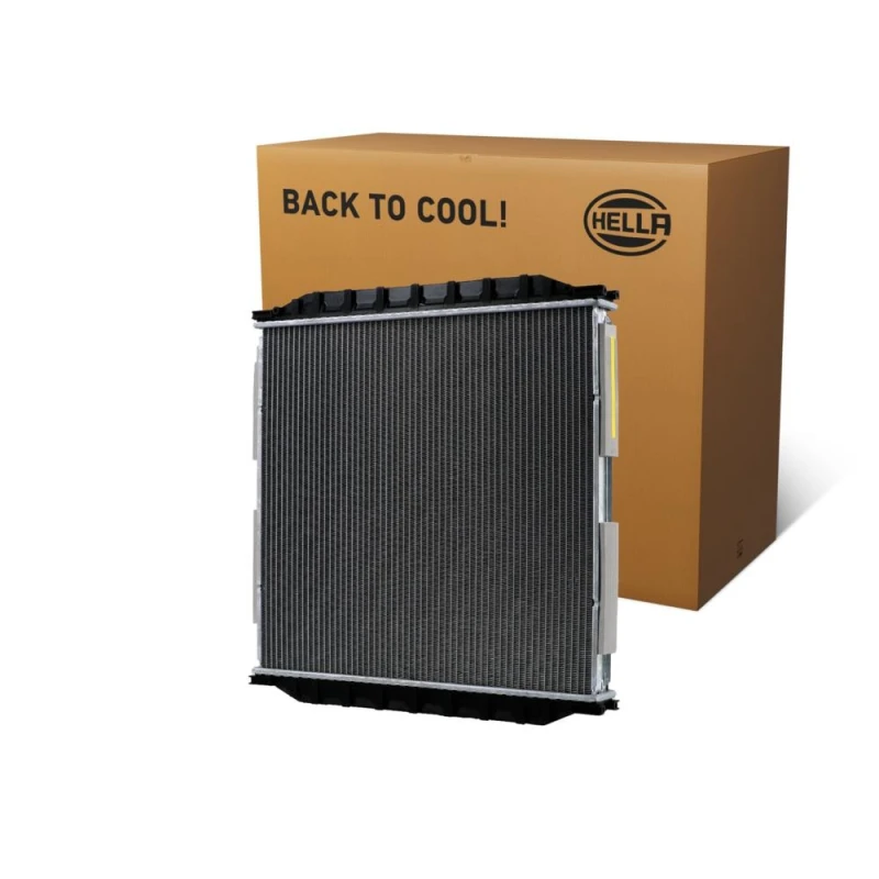 Image of HELLA Engine radiator HELLA 8MK 366 300-711