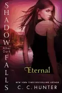 Image of eternal shadow falls after dark