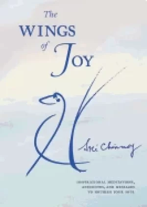 Image of wings of joy finding your path to inner peace