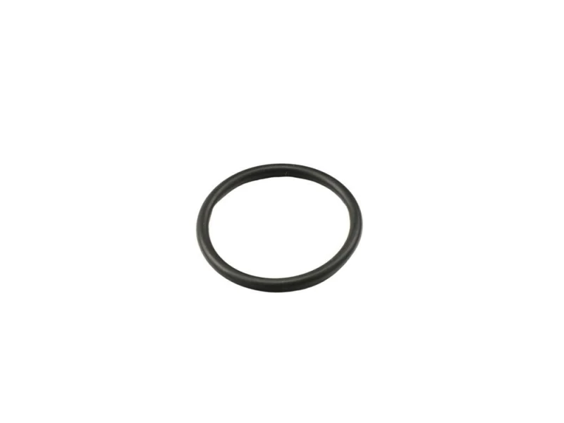 Image of FAST Gasket, thermostat FAST FT49917