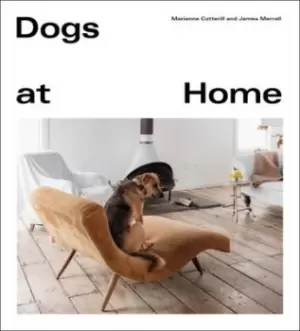 Image of Dogs at home by Marianne Cotterill