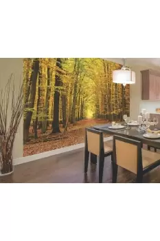 image of Autumn Forest Wall Mural