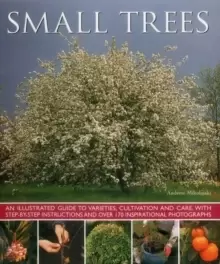 Image of Small Trees