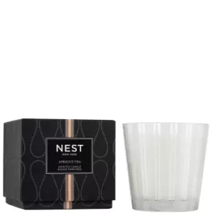 Image of NEST New York Apricot Tea 3-Wick Candle 600g