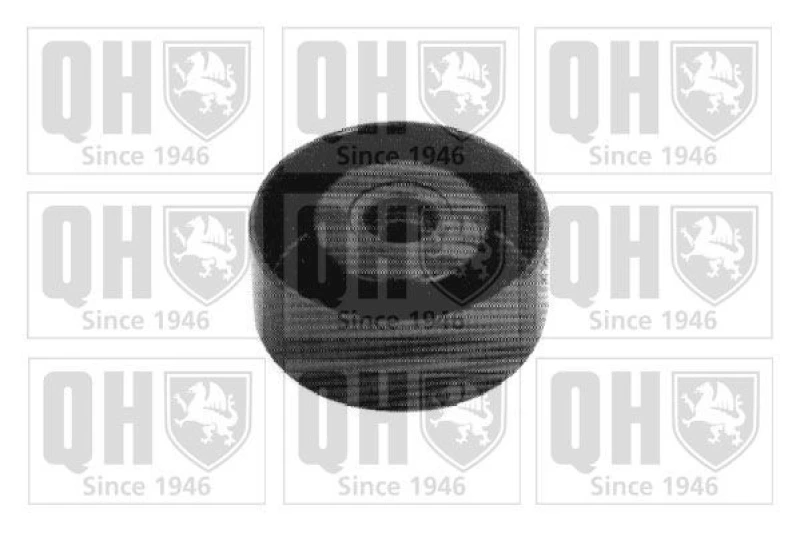 Image of QUINTON HAZELL Tensioner pulley QUINTON HAZELL QTA1171