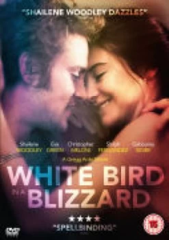 Image of White Bird in a Blizzard