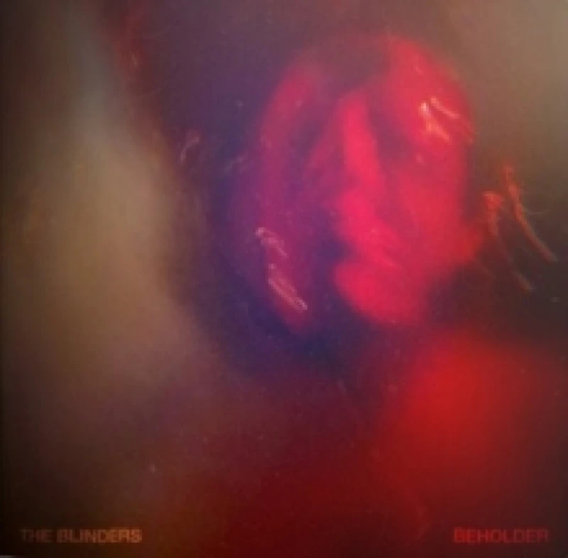 Image of Beholder Vinyl