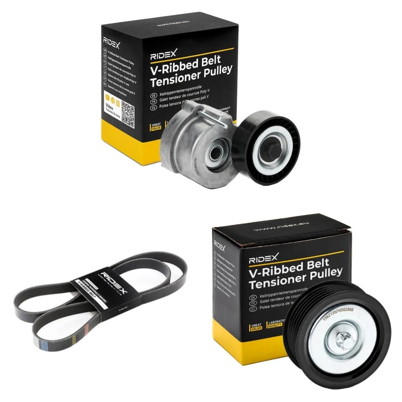 Image of RIDEX 542R1130 V-ribbed belt set V-Ribbed Belt Set (542)
