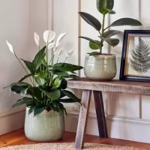 Image of Ivyline Pot Como Mint - H17Cm D21Cm