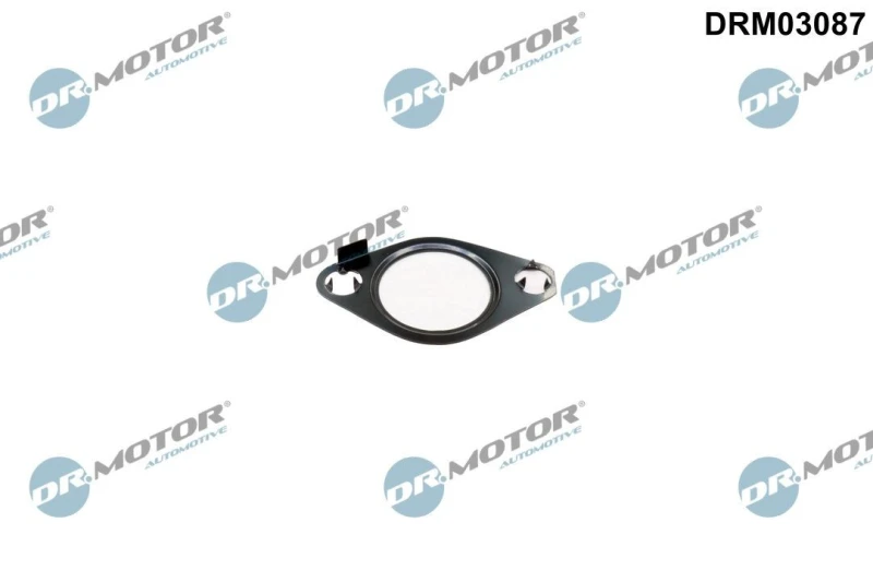 Image of DR.MOTOR AUTOMOTIVE EGR valve gasket DR.MOTOR AUTOMOTIVE DRM03087