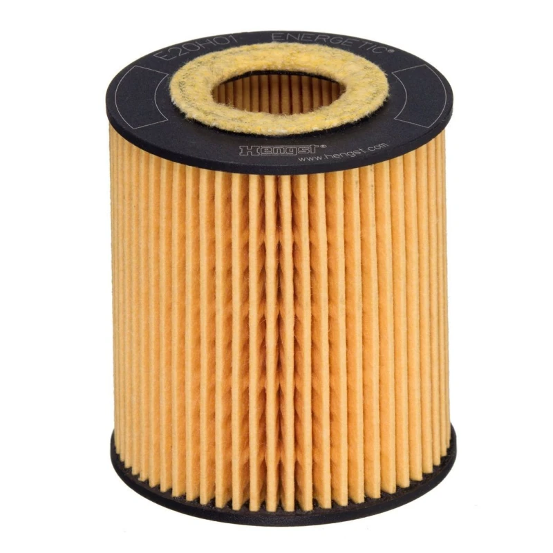 Image of Oil filter HENGST FILTER E20H01 D293
