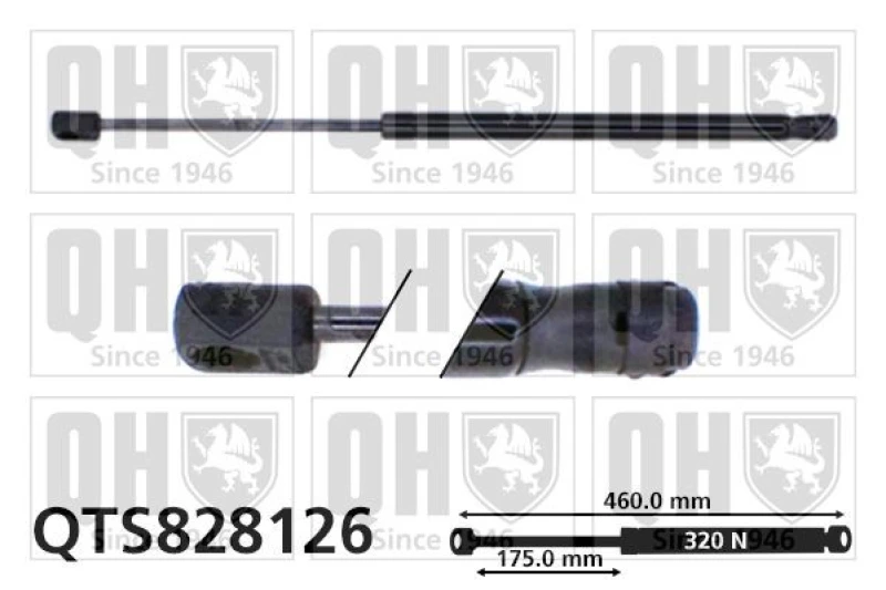 Image of QUINTON HAZELL Tailgate strut QUINTON HAZELL QTS828126