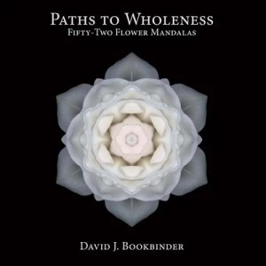 Image of Paths to Wholeness by David J. Bookbinder Paperback